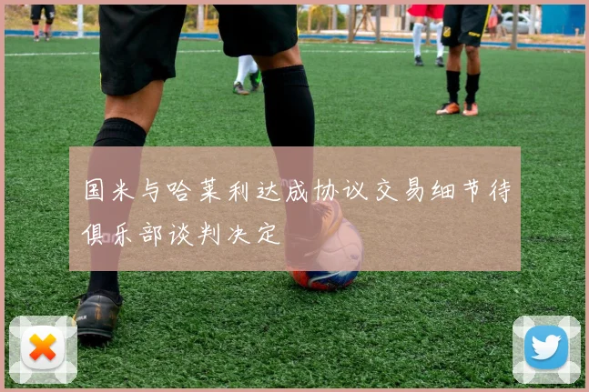 国米与哈莱利达成协议交易细节待俱乐部谈判决定